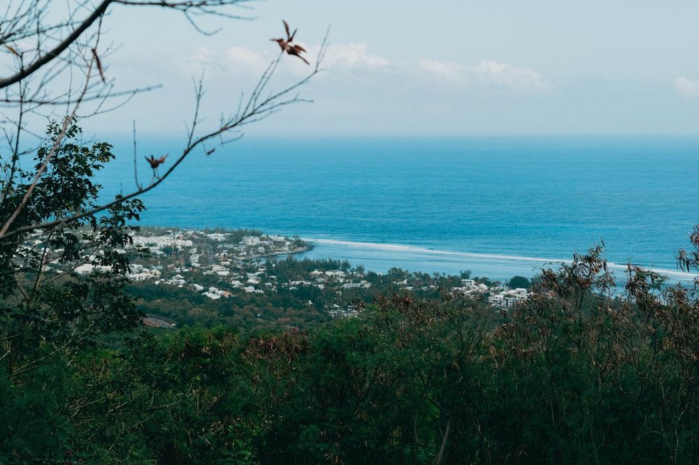 La Réunion — Business.OI