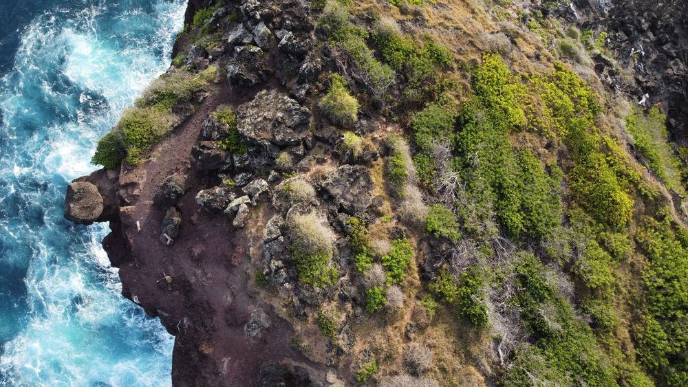 La Réunion — Business.OI