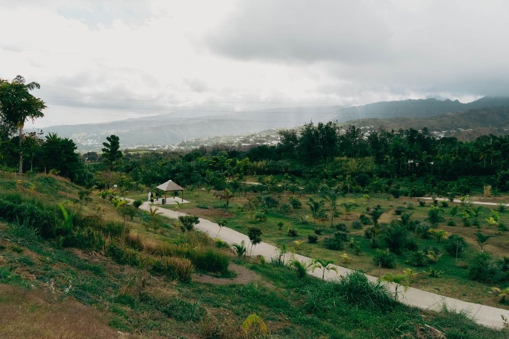 La Réunion — Business.OI