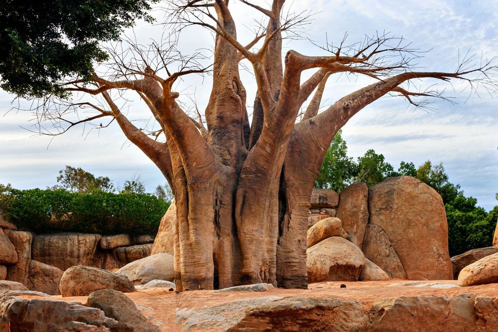 Madagascar — Business.OI
