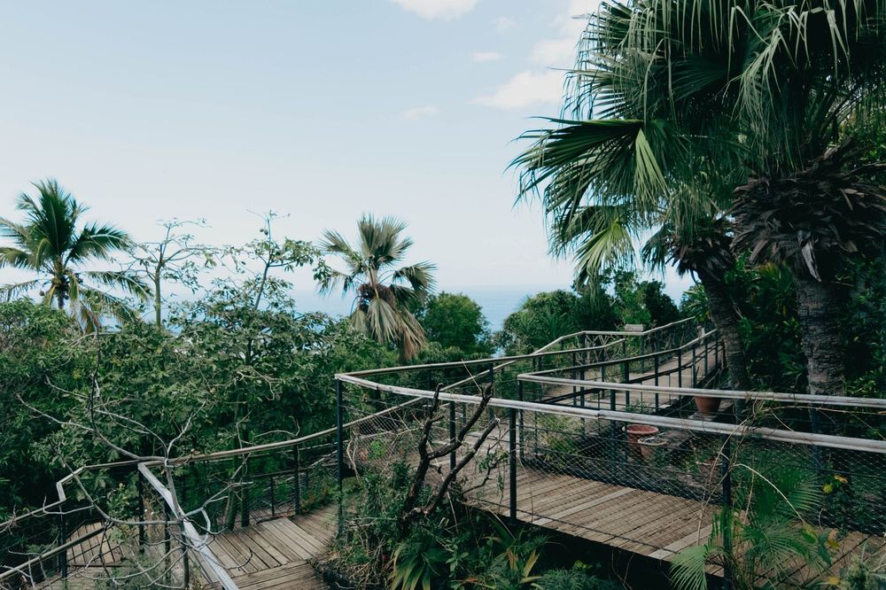 La Réunion — Business.OI