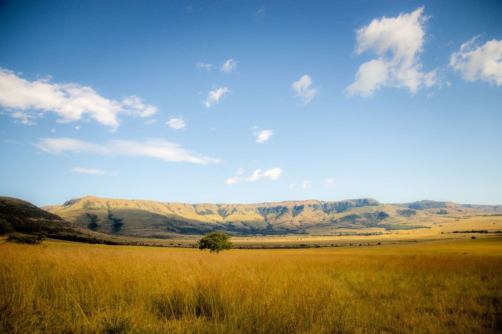 Afrique du Sud — Business.OI