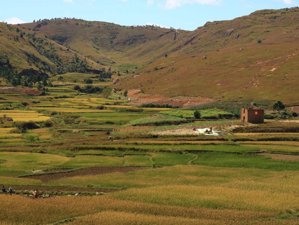 Madagascar — Business.OI