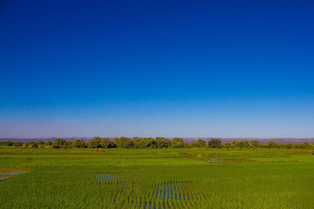Madagascar — Business.OI
