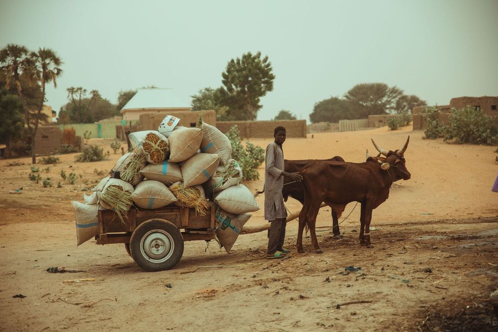 Afrique — Business.OI