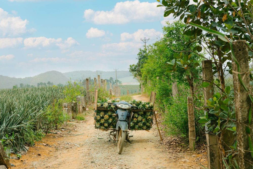 Madagascar — Business.OI