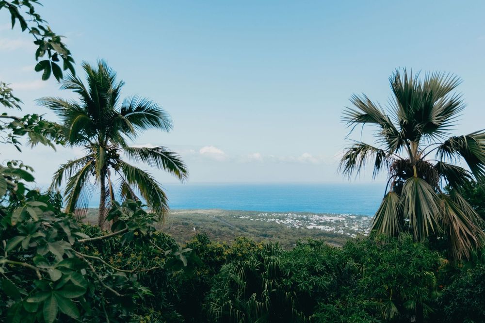 La Réunion — Business.OI