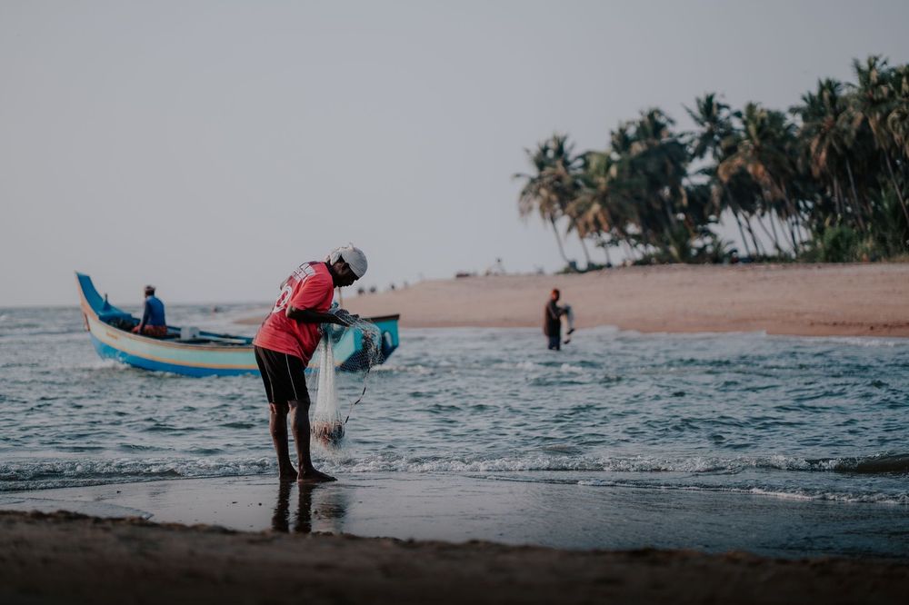 Comores — Business.OI