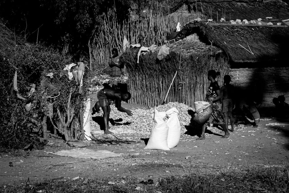 Madagascar — Business.OI