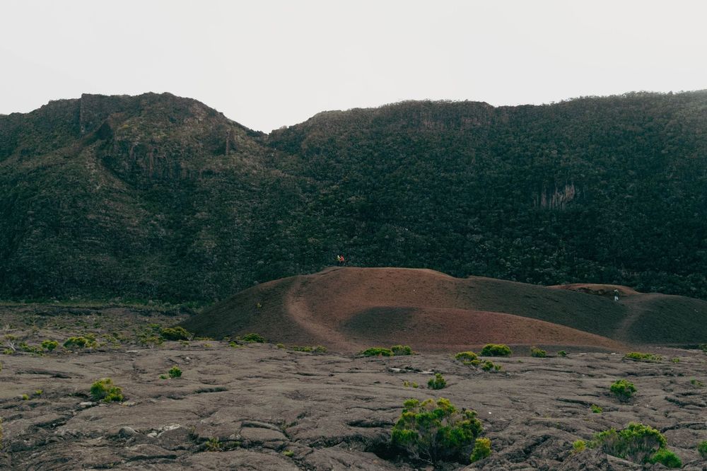 La Réunion — Business.OI