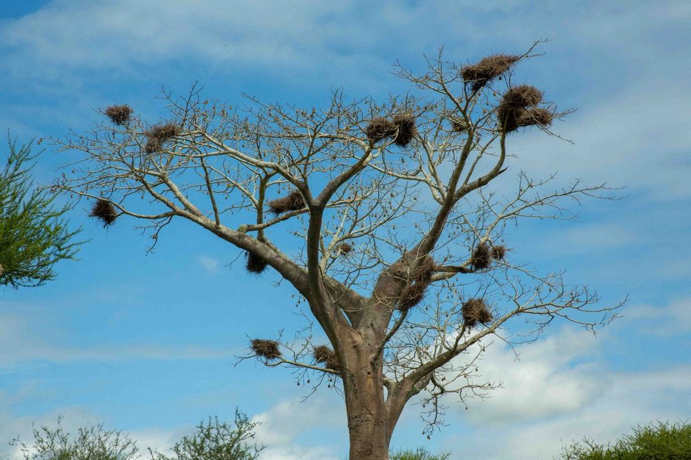Madagascar — Business.OI