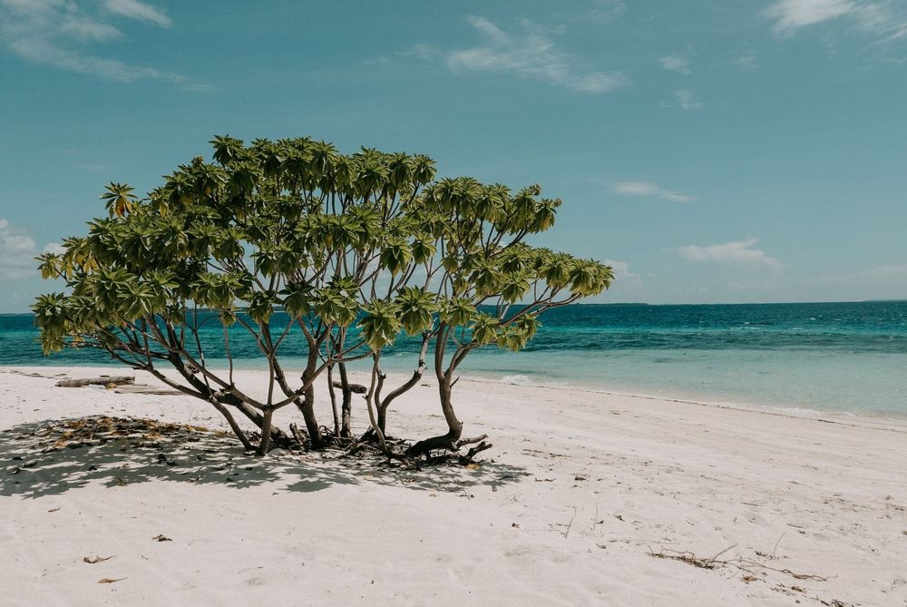 Comores — Business.OI