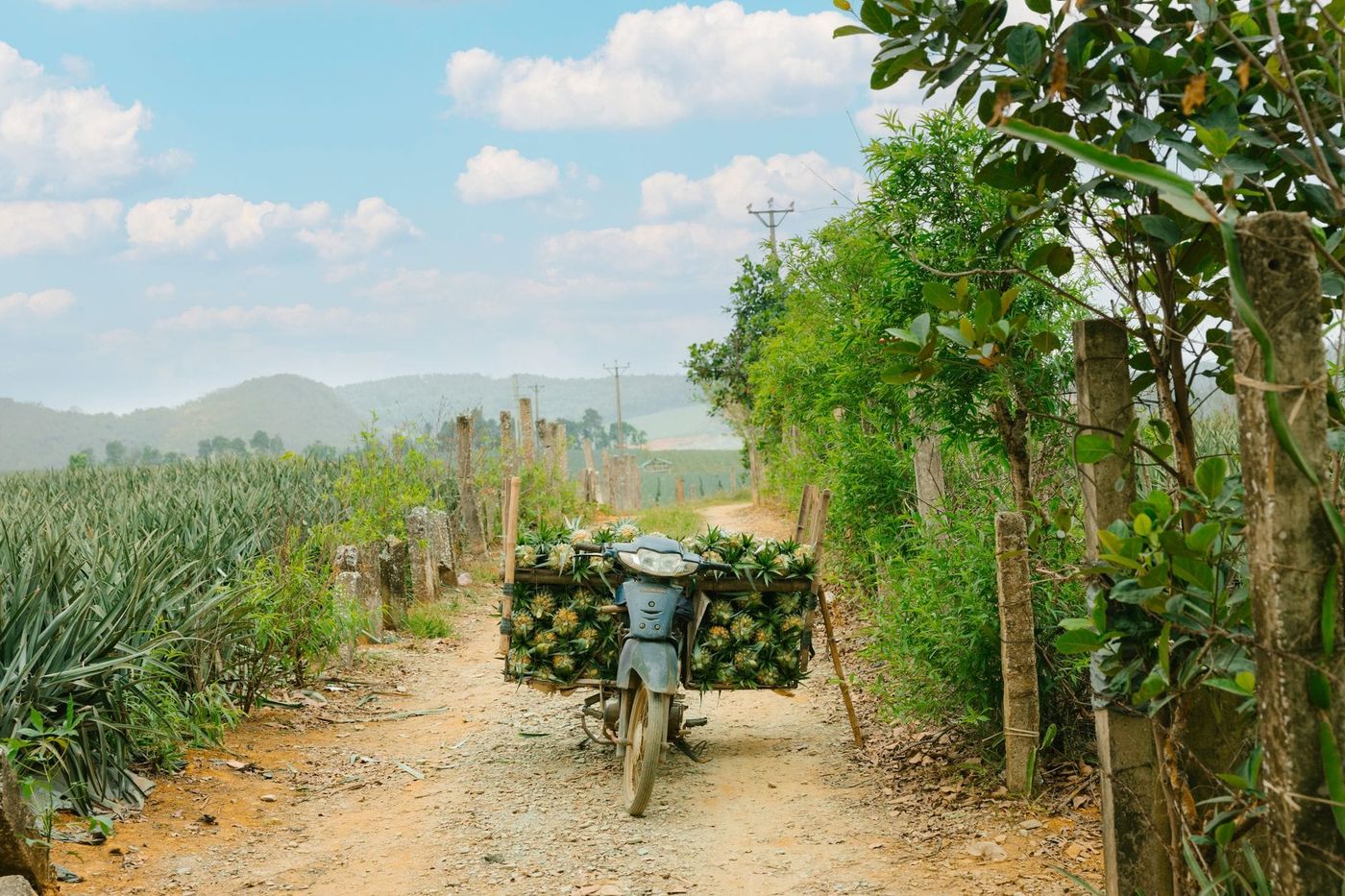 Madagascar — Business.OI