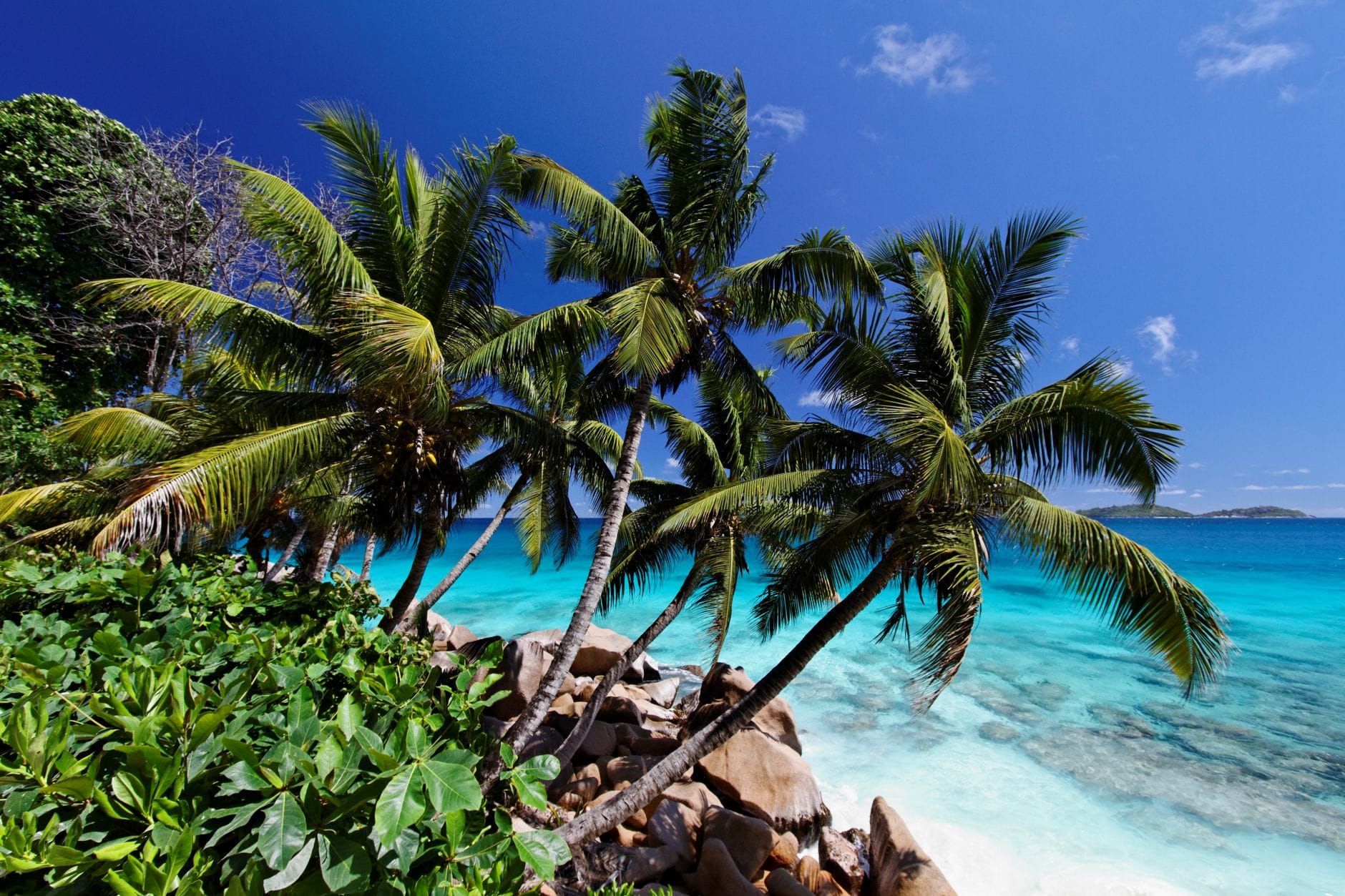 Seychelles — Business.OI