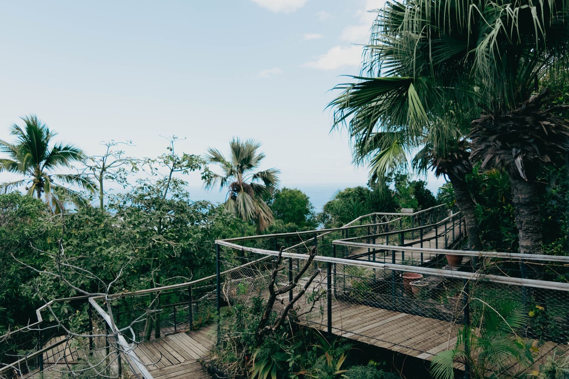 La Réunion — Business.OI