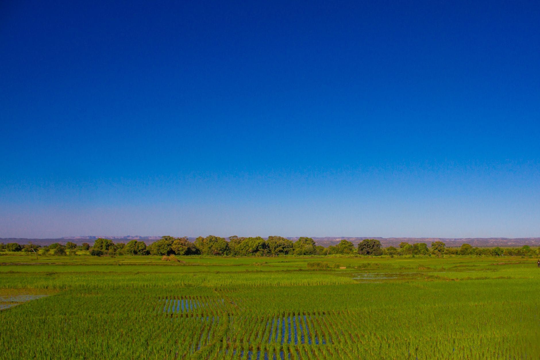 Madagascar — Business.OI