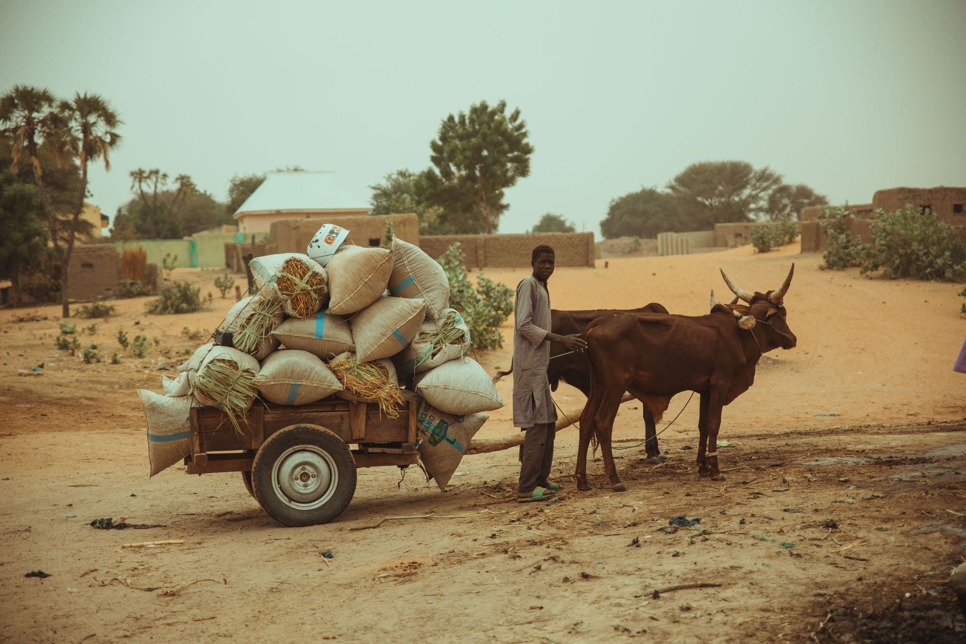 Afrique — Business.OI