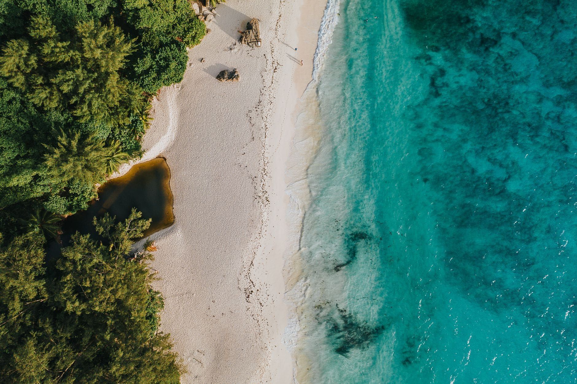 Seychelles — Business.OI