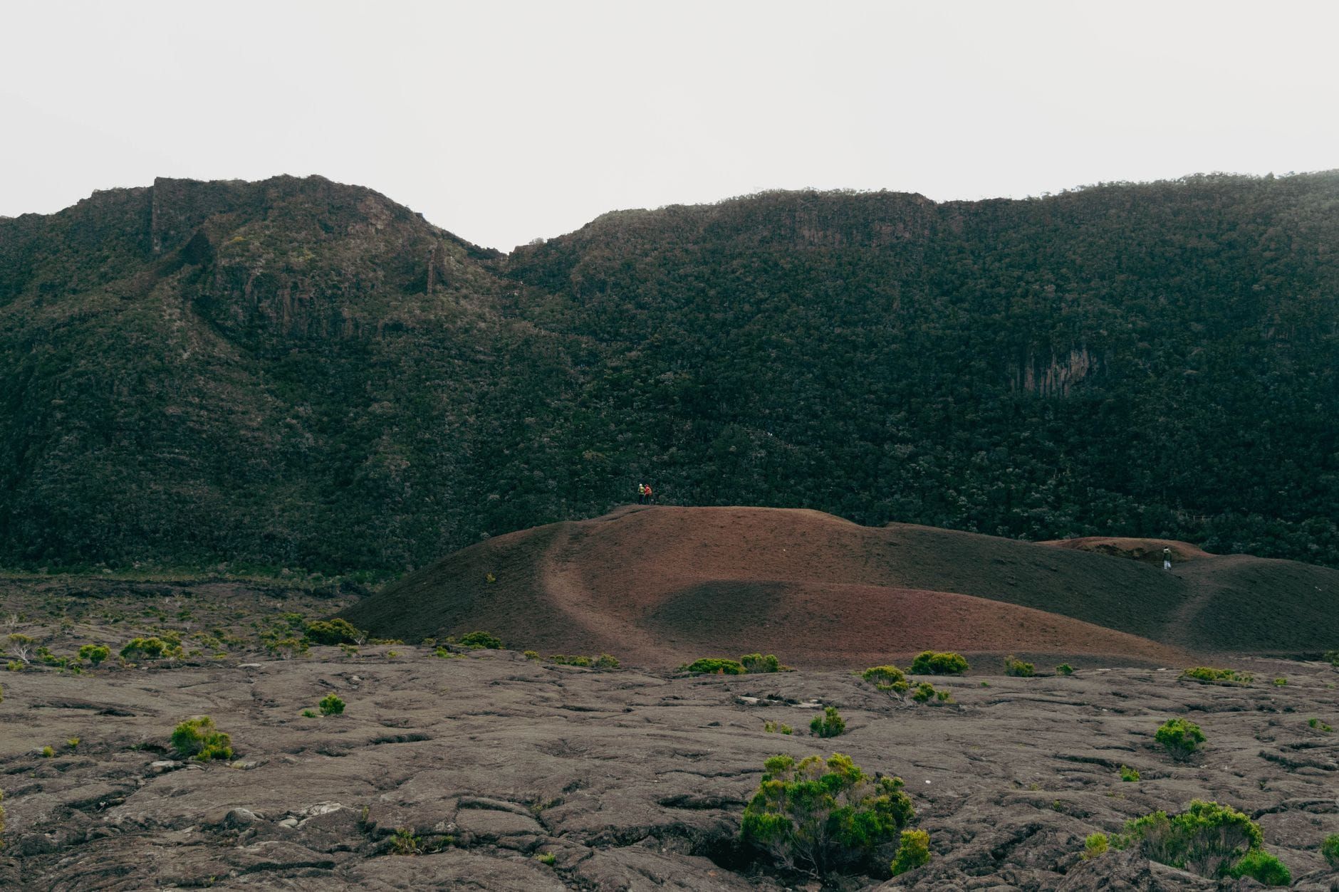 La Réunion — Business.OI