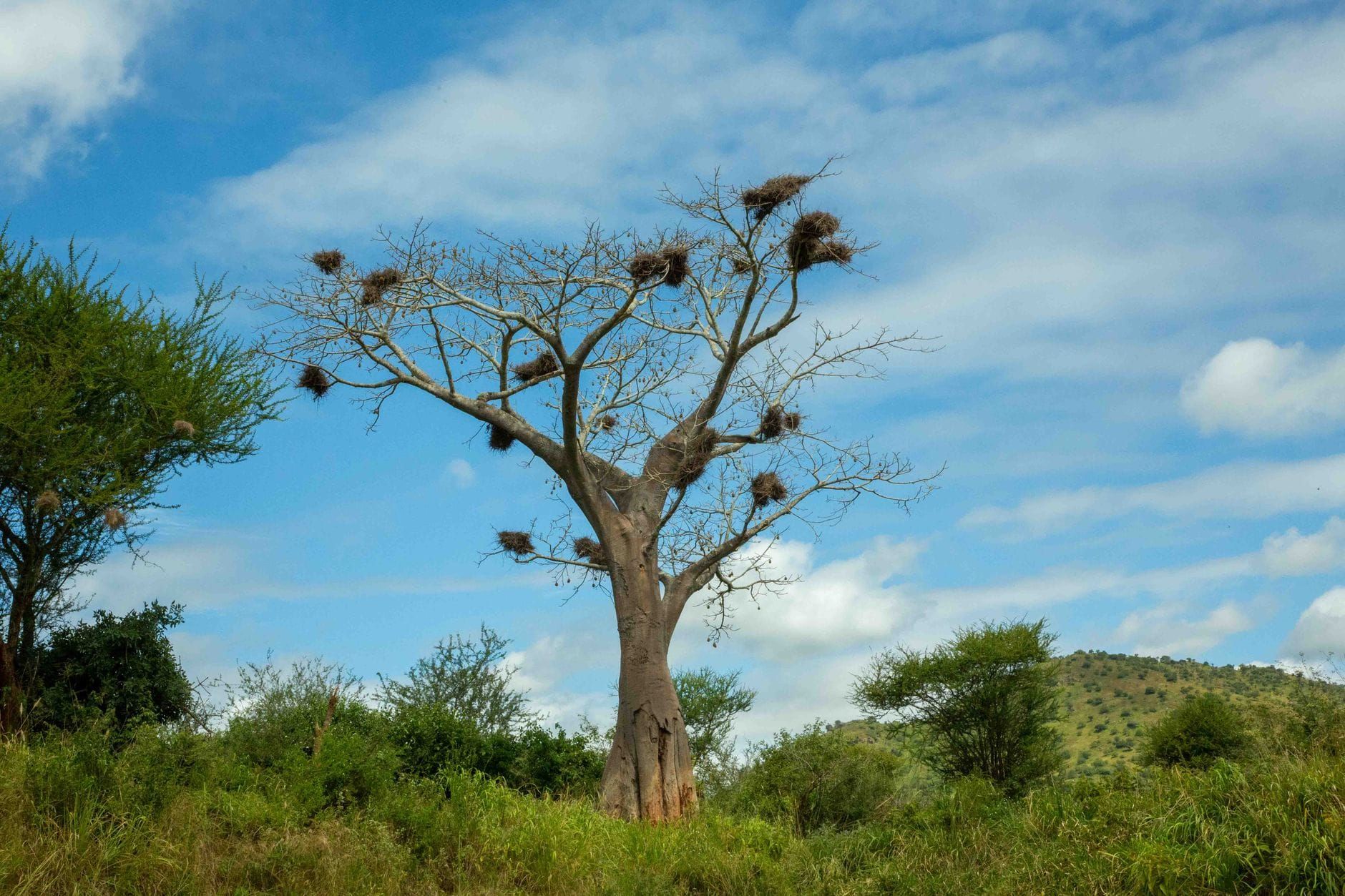 Madagascar — Business.OI
