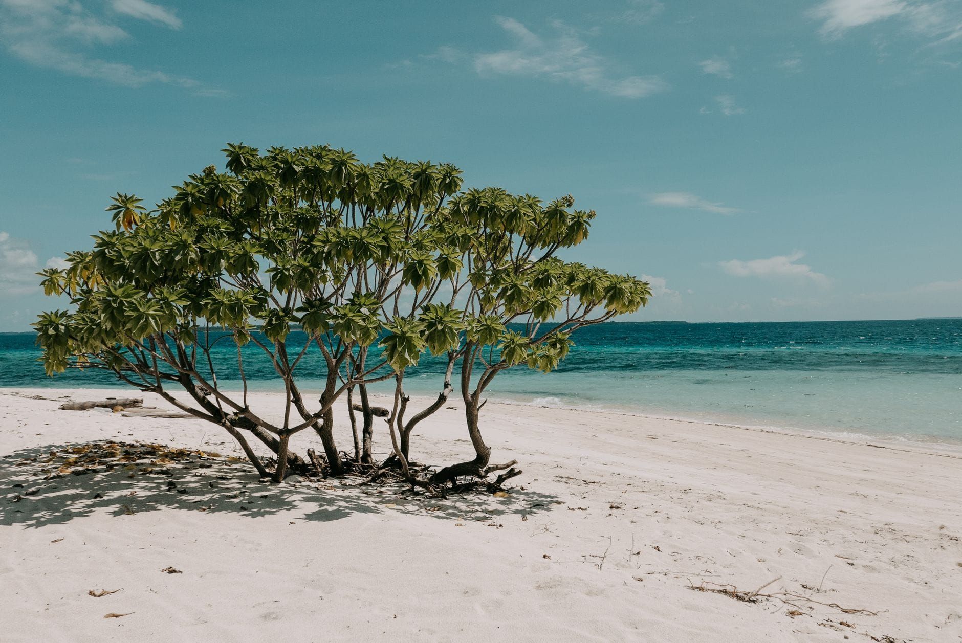 Comores — Business.OI