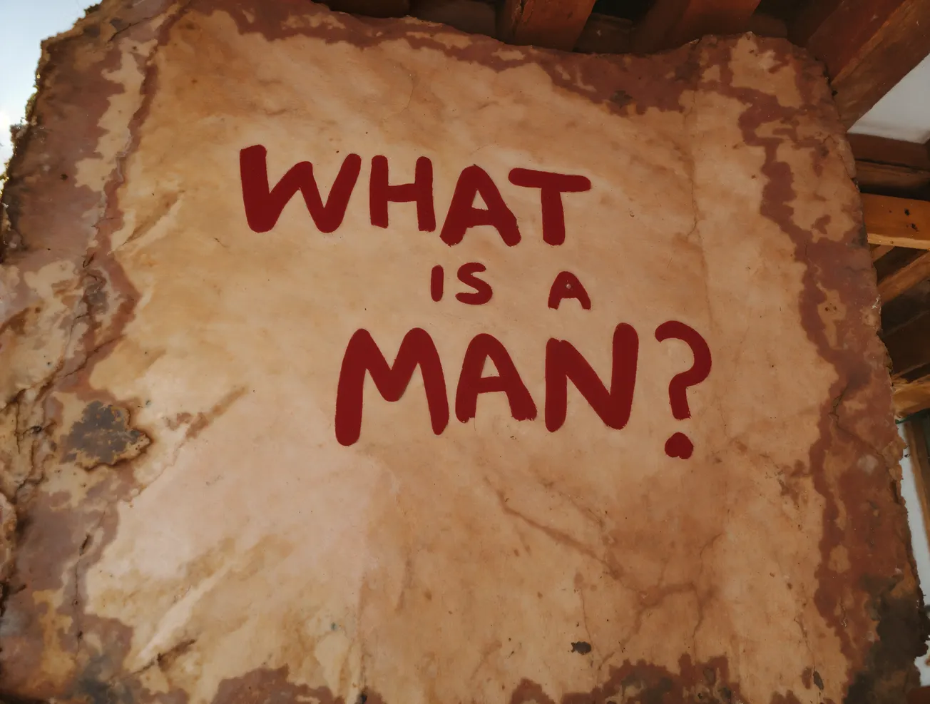 WHAT is a MAN?
