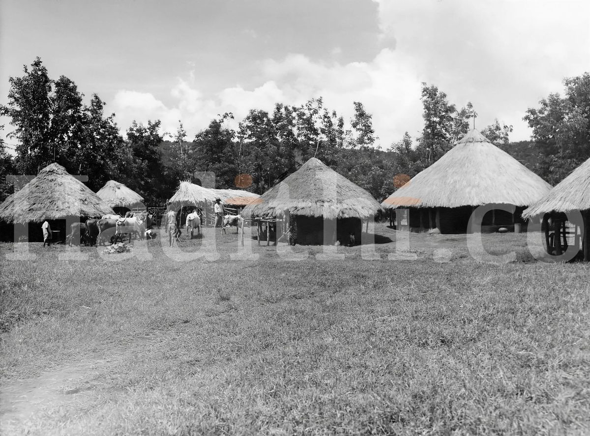 A Luo homestead on the shores of Lake Victoria
