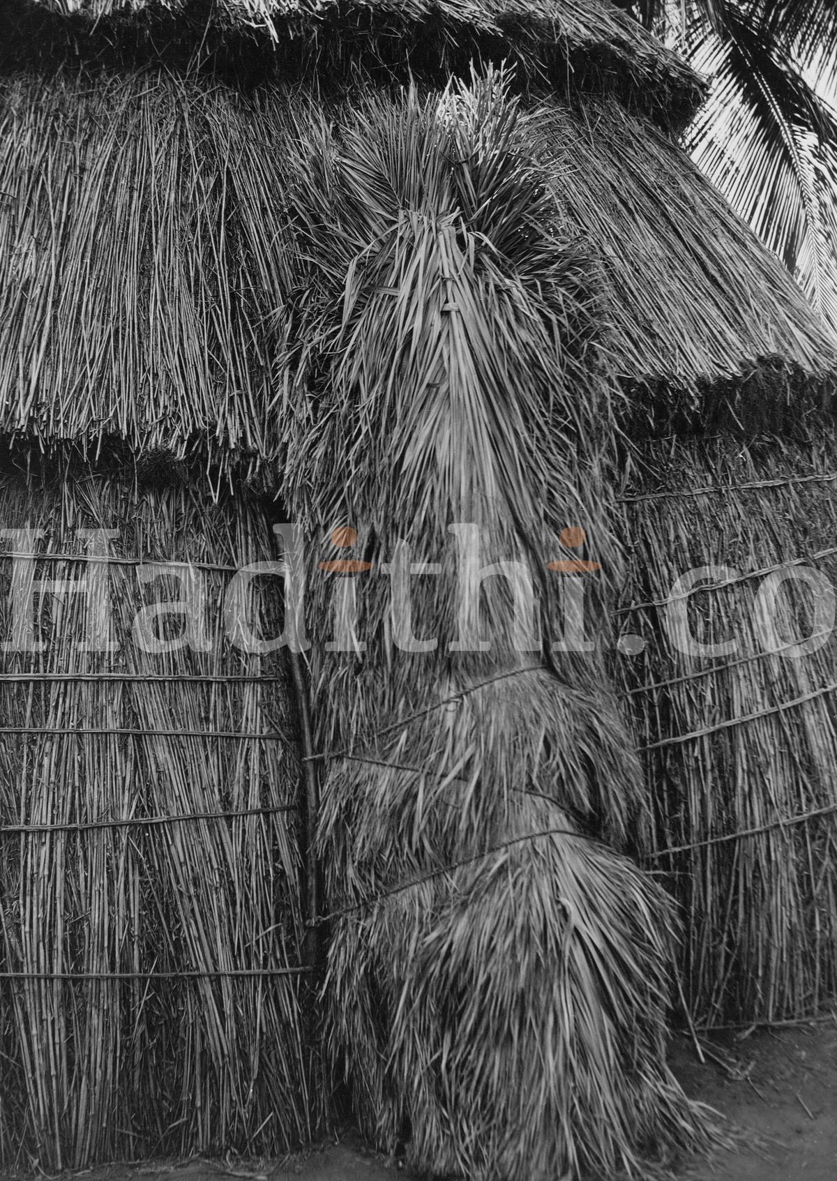 The Pokomo Hut: An Enduring Symbol of Heritage and Community