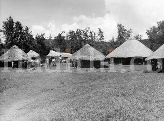 A Luo homestead on the shores of Lake Victoria