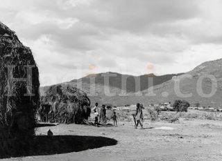 The Traditional Maasai Manyatta