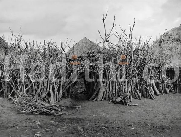 A Bukuria homestead