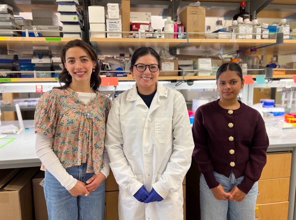 SheTech Interns Interview Evita Weagel