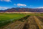 From an Accidentally Ruined Lab to a $900 Million Pallet Deal: Inside Terraphene and Its Bet on Hemp