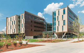 19 Founders Graduate from the Master of Business Creation Online in Summer 2024