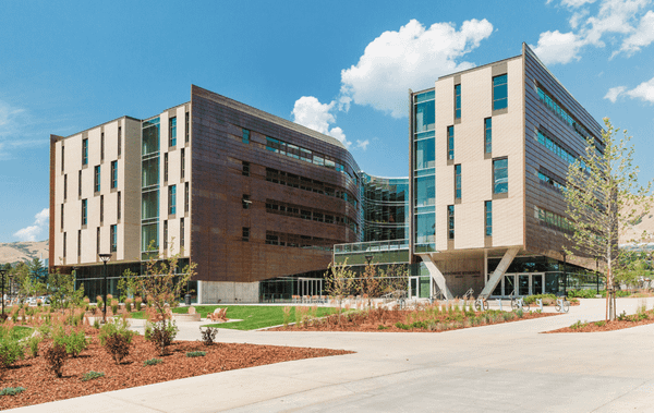 19 Founders Graduate from the Master of Business Creation Online in Summer 2024