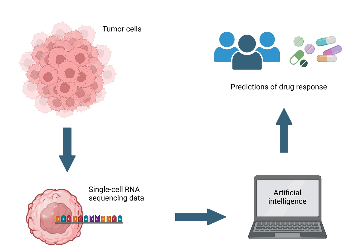 Modeling the Tumor Immune System, Not Just Scoring It