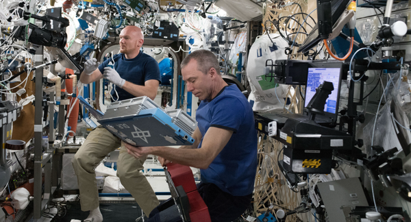 AI, Neurons and Space