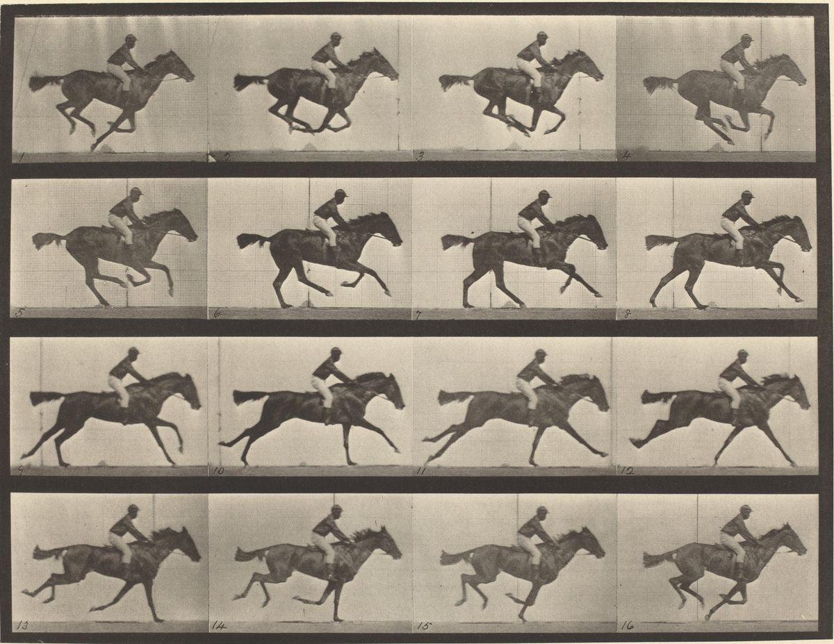 Introduction to Film Studies: The Grammar of Cinema
