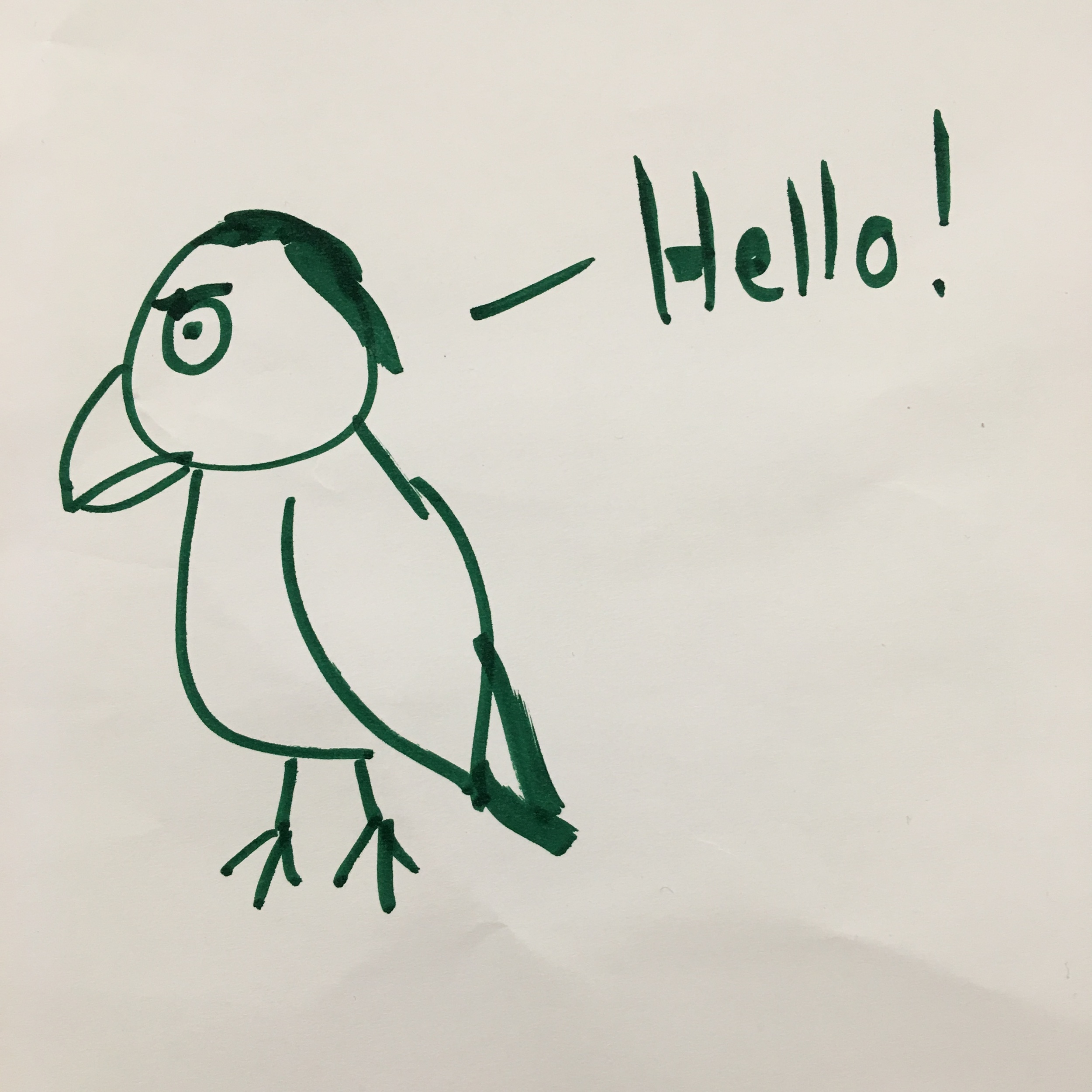 Our first idea was a very, apparently angry, parrot.