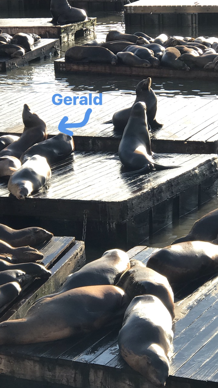 2017-02-26 16.48.36.jpg