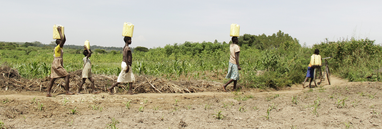 An underground solution to drought?