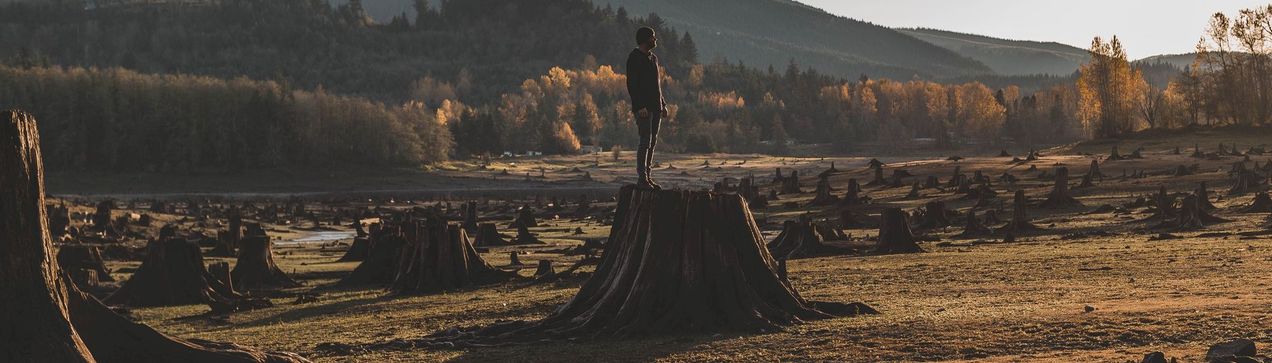 Deforestation is in the regulatory cross hairs.