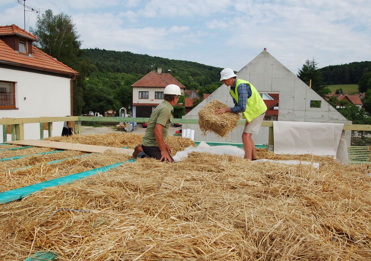 Nature insulating us from energy inefficiency