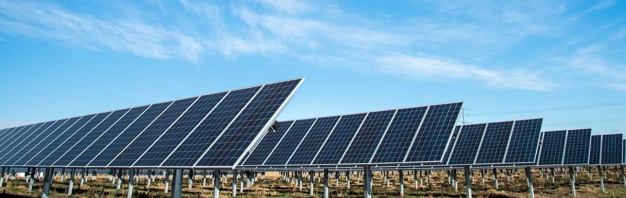 What do ducks have to do with revenues from solar?