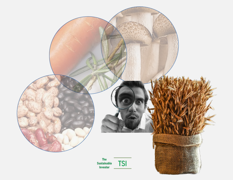 When a focus on productivity leads to system inefficiency