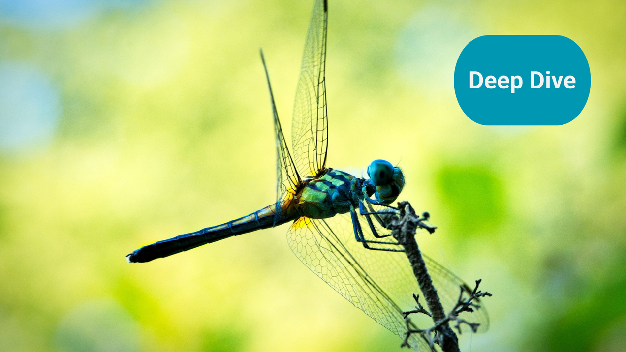 AMR - Spoiling the party with physics and material science