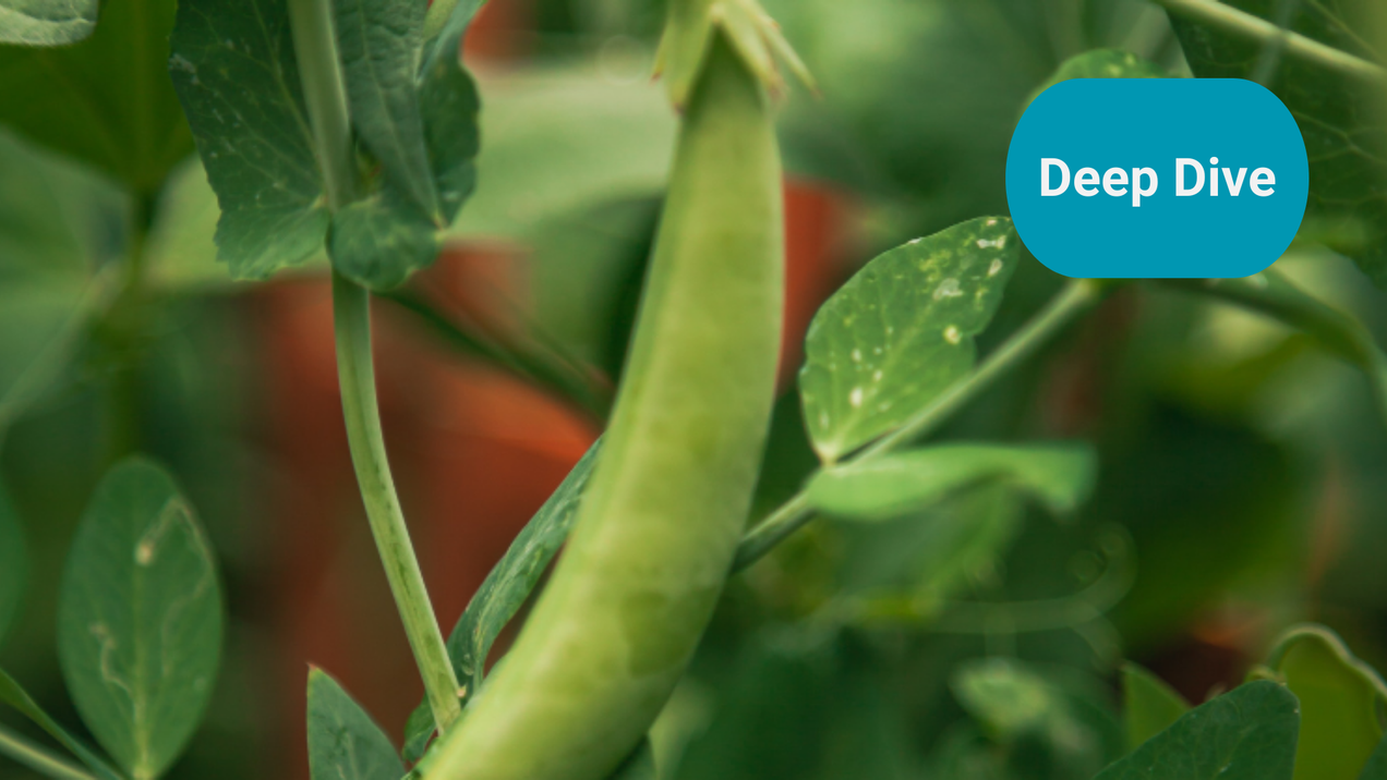 Why should investors care about biodiversity? Part 3