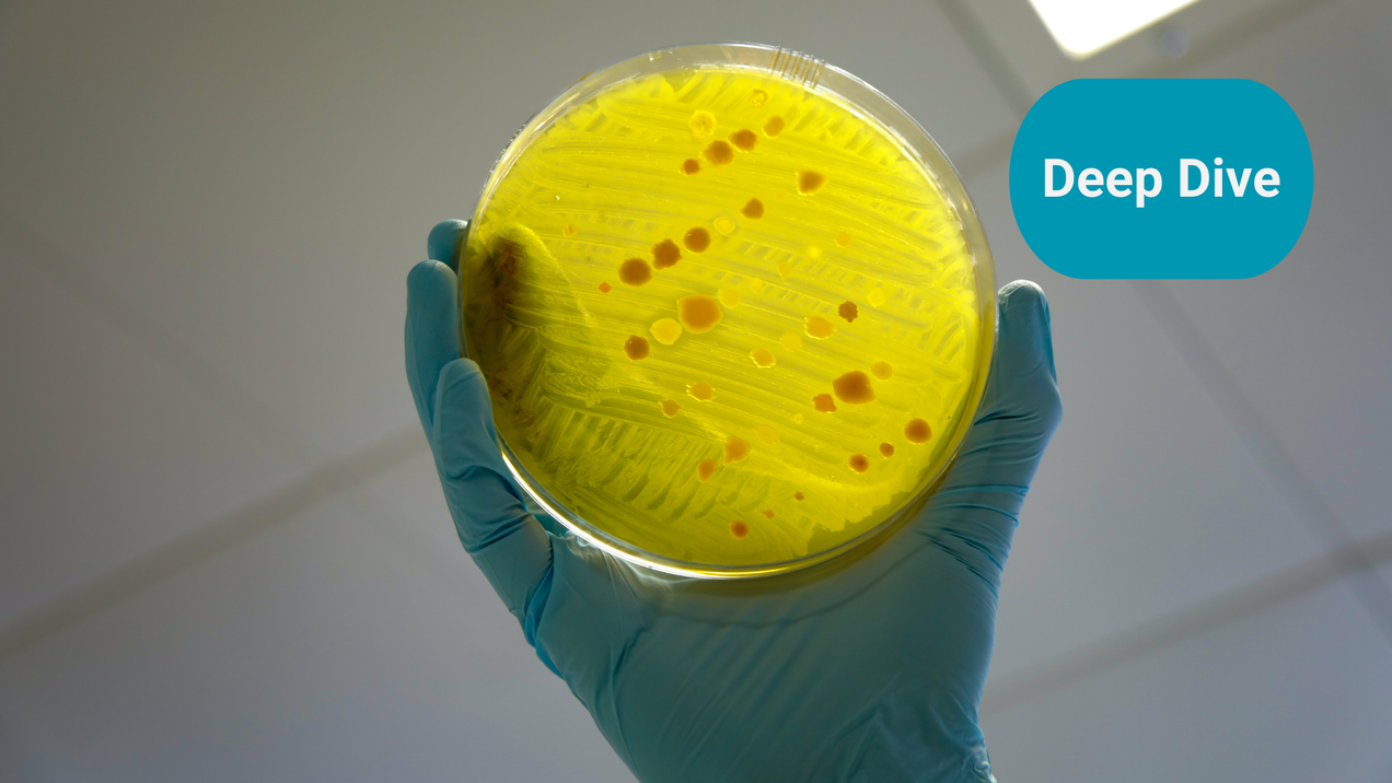 Antimicrobial Resistance: a primer