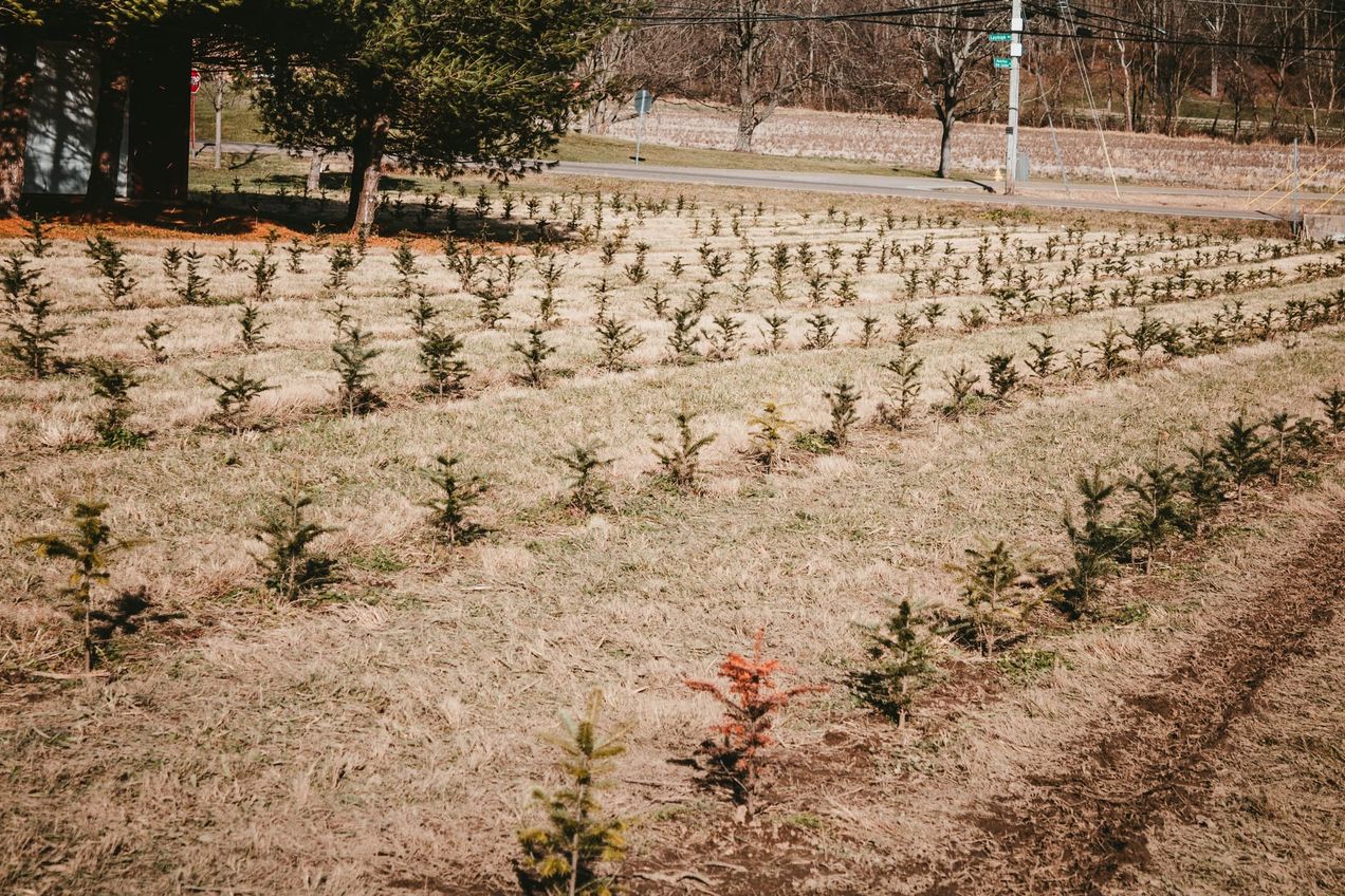 The limits of sequestration