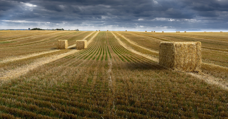 Is farmer insurance a green bottleneck ?